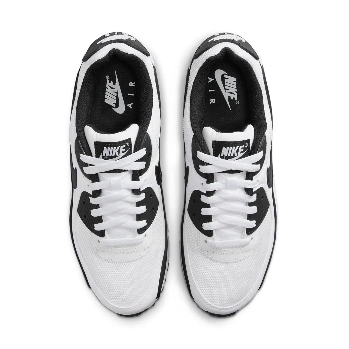 Nithtke Athtir Max 90'Panda'