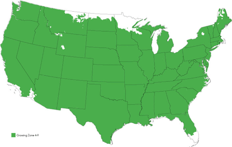 Green Is Where I Grow! Green Is Where I Grow!