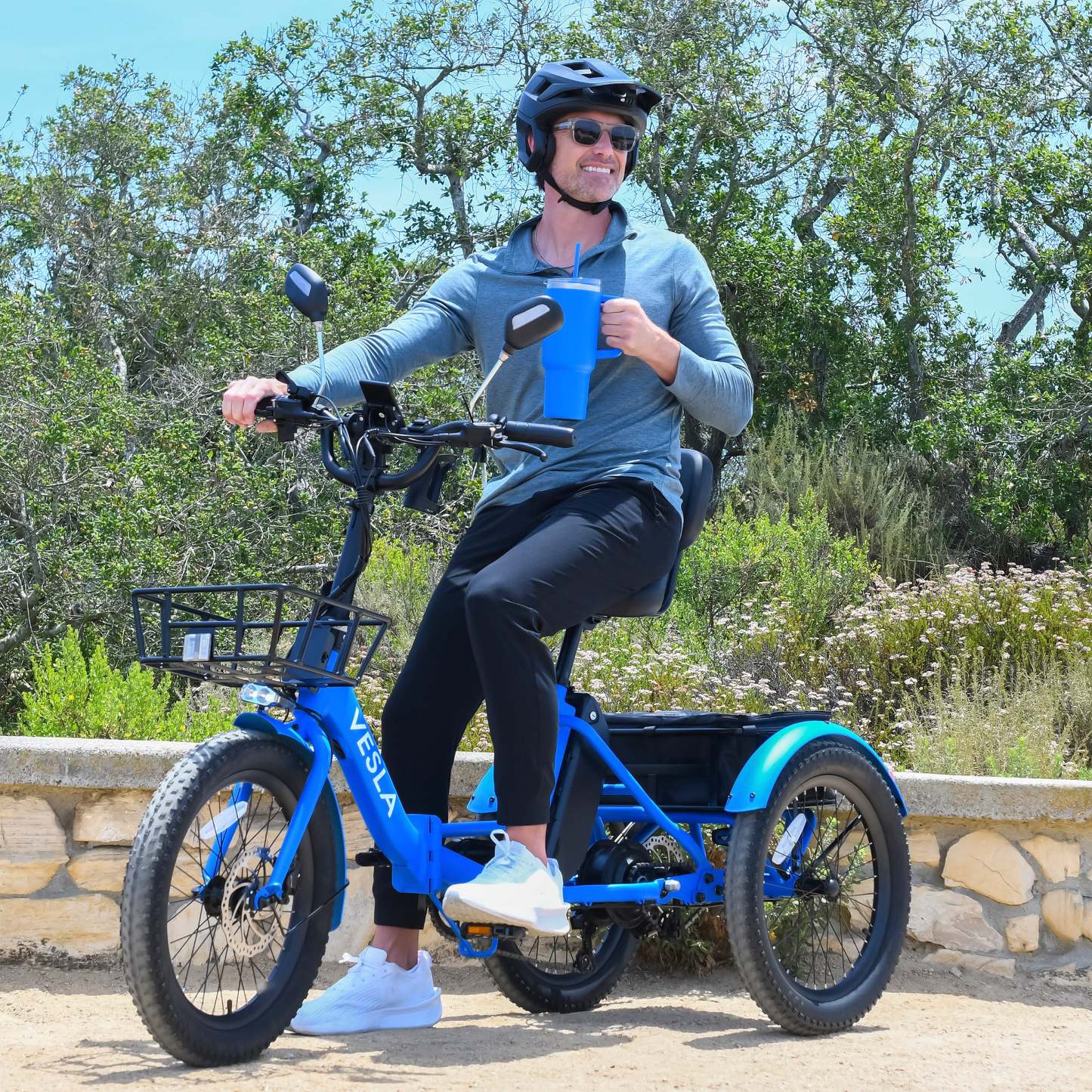 Vesla VS-900 Foldable Fat Tire E-Trike