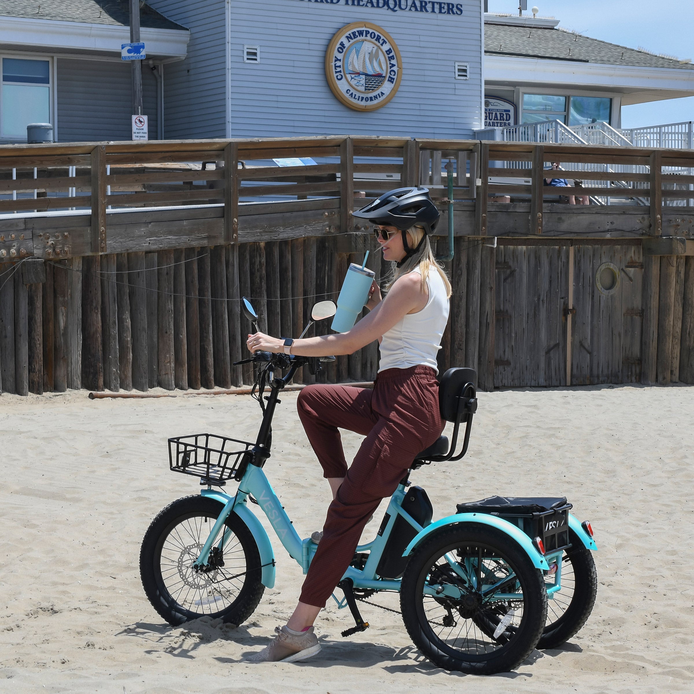 Vesla VS-900 Foldable Fat Tire E-Trike