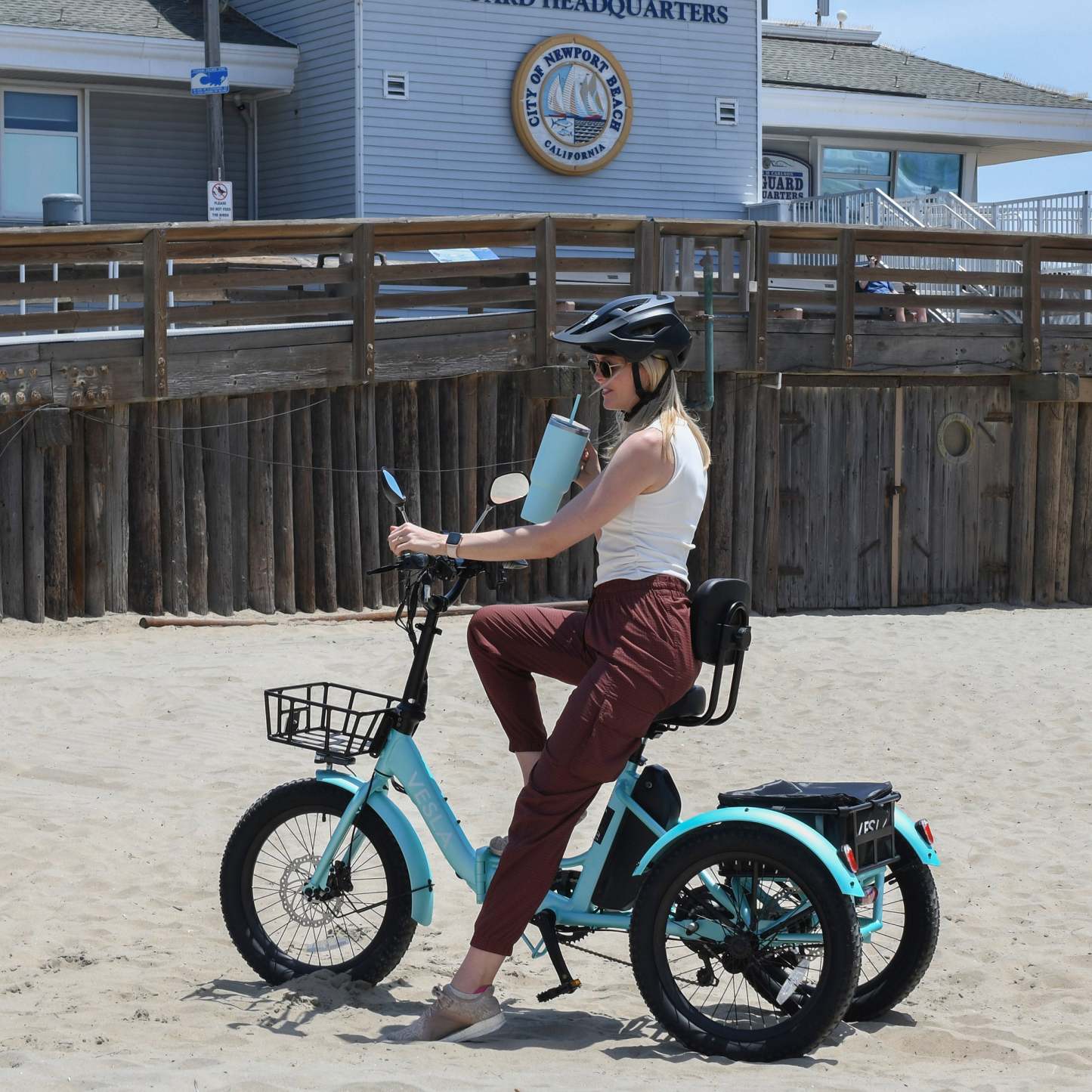 Vesla VS-900 Foldable Fat Tire E-Trike