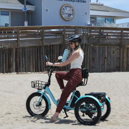 Vesla VS-900 Foldable Fat Tire E-Trike