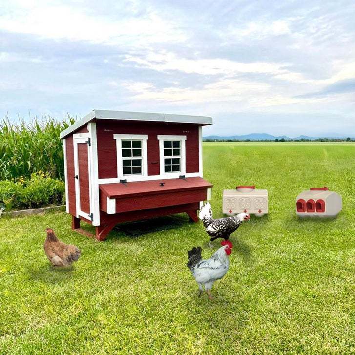 OverEZ Classic Large Chicken Coop Kit