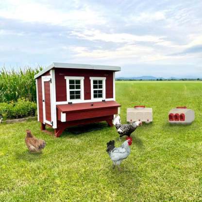 OverEZ Classic Large Chicken Coop Kit
