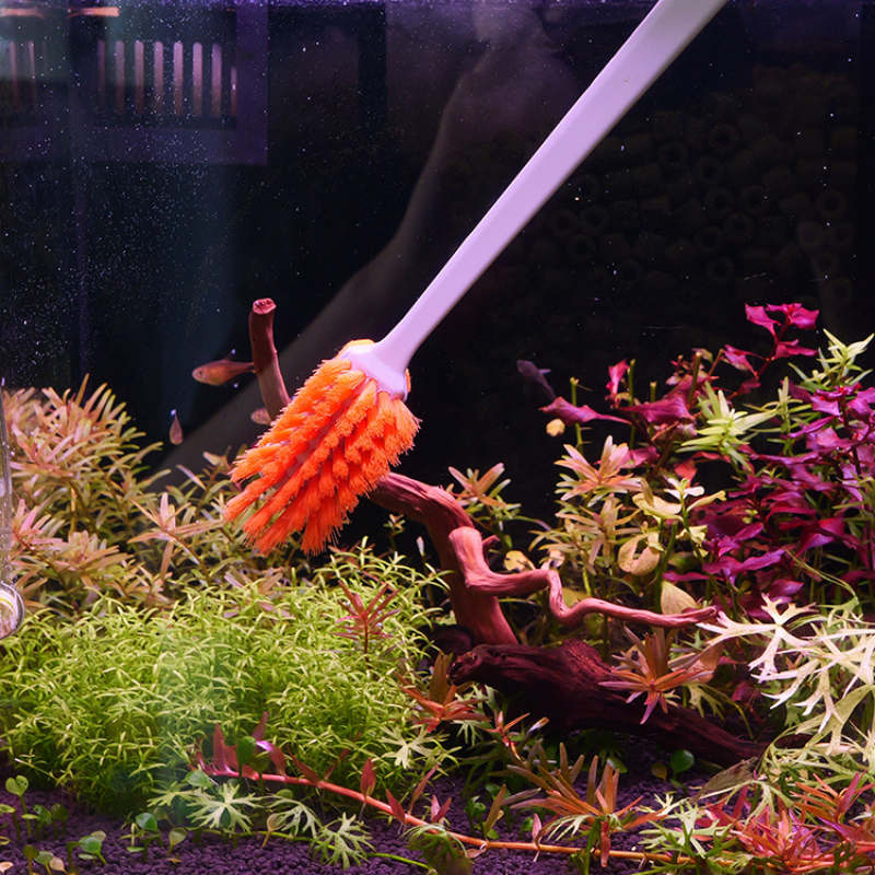 Tank brush cleaner