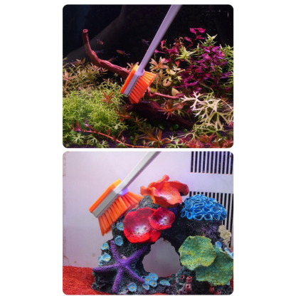 Tank brush cleaner