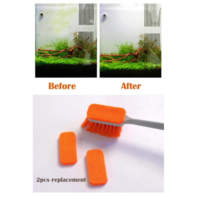 Tank brush cleaner