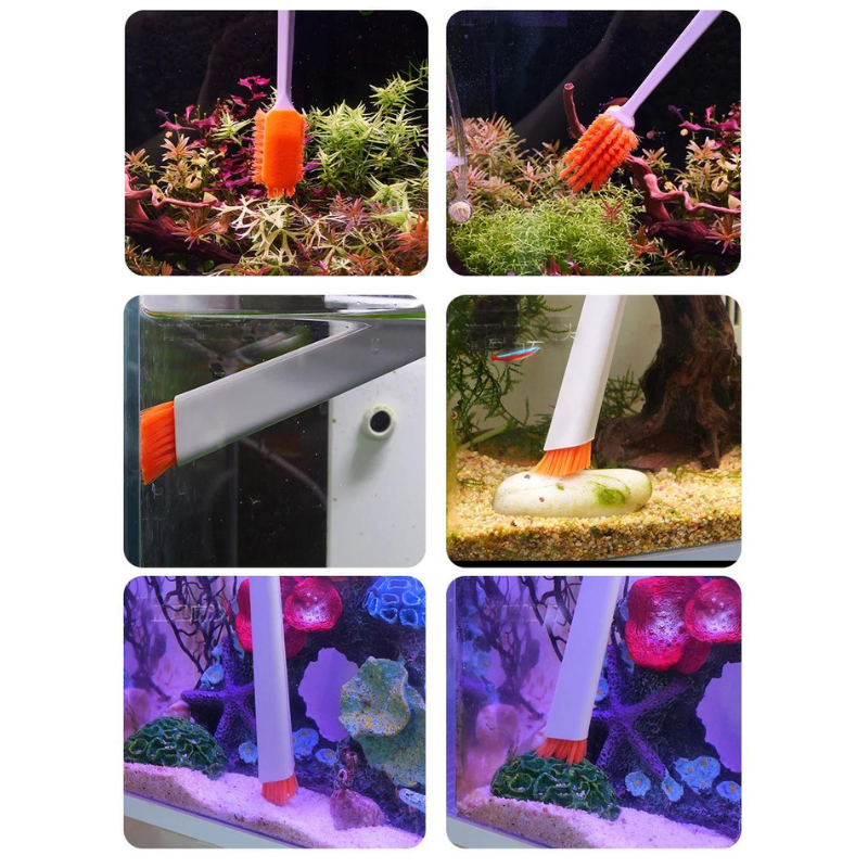 Tank brush cleaner