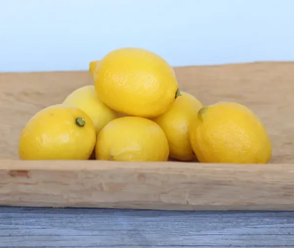 Alder & Oak Improved Meyer Lemon Tree | Costco
