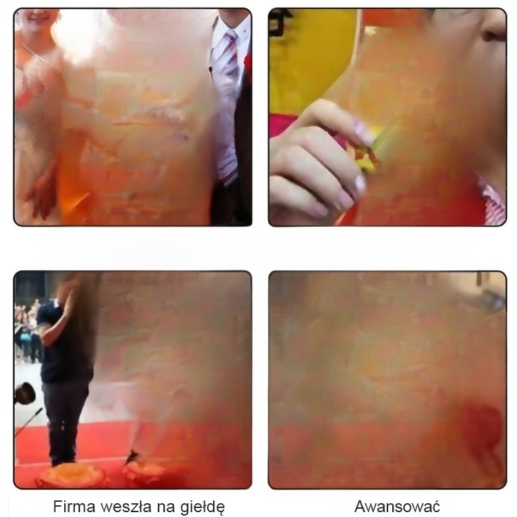 [Przeprowadzanie bogactwa]  Nasiona ozdobnego lotosu wodnego