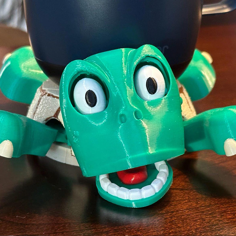 Whimsical Funky Turtle Coaster