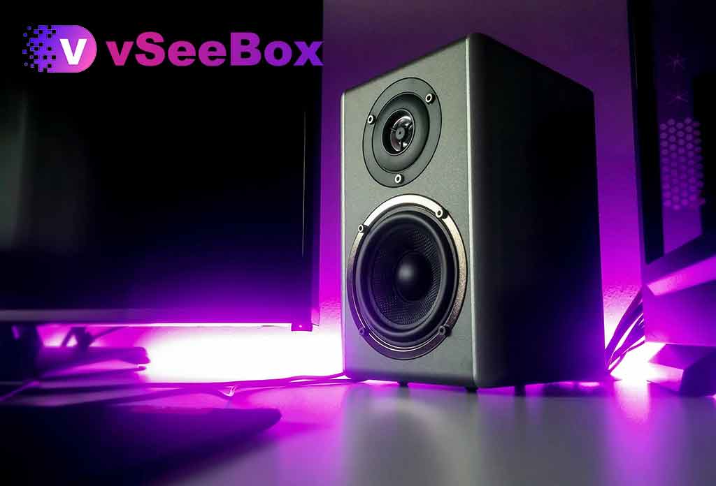 Comprehensive Analysis of vSeeBox and Speaker Compatibility