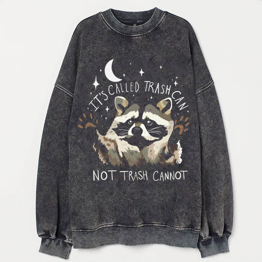 Raccoon Sweatshirt-lovefitte