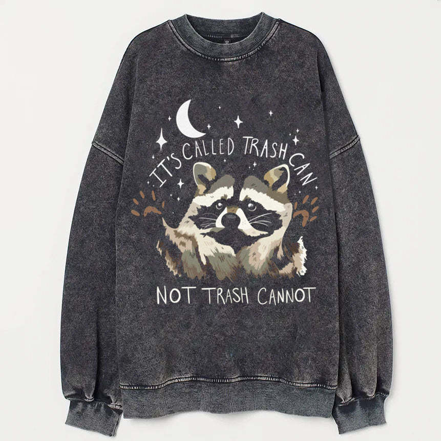 Raccoon Sweatshirt-lovefitte