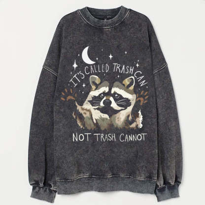 Raccoon Sweatshirt-lovefitte