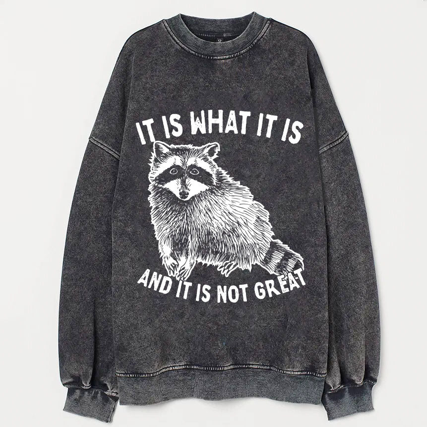 It Is What It Is And It Is Not Great Sweatshirt-lovefitte