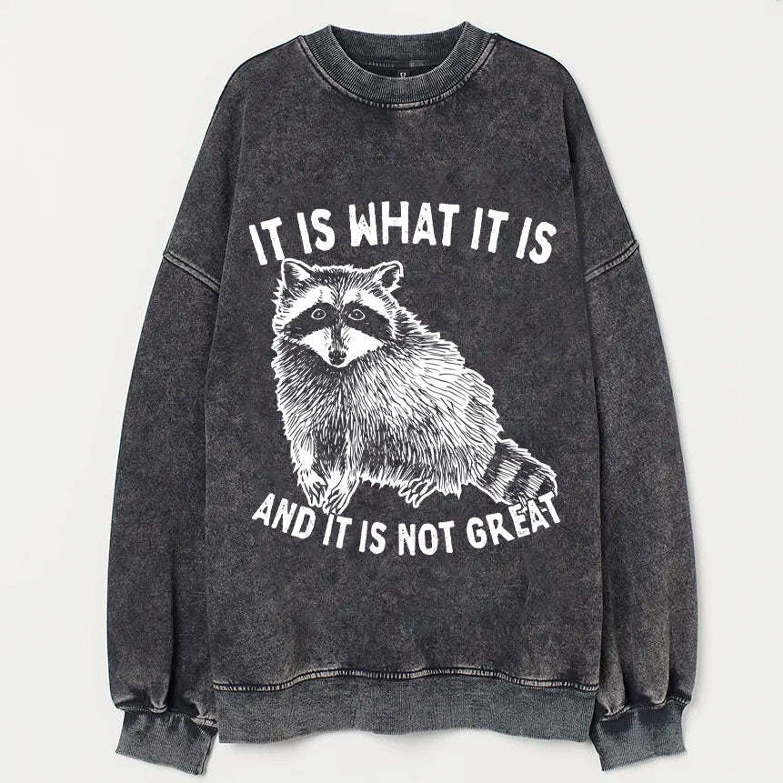 It Is What It Is And It Is Not Great Sweatshirt-lovefitte