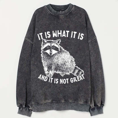 It Is What It Is And It Is Not Great Sweatshirt-lovefitte