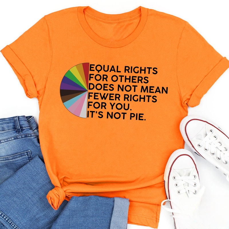 Equal Rights For Others Teacher T-Shirt