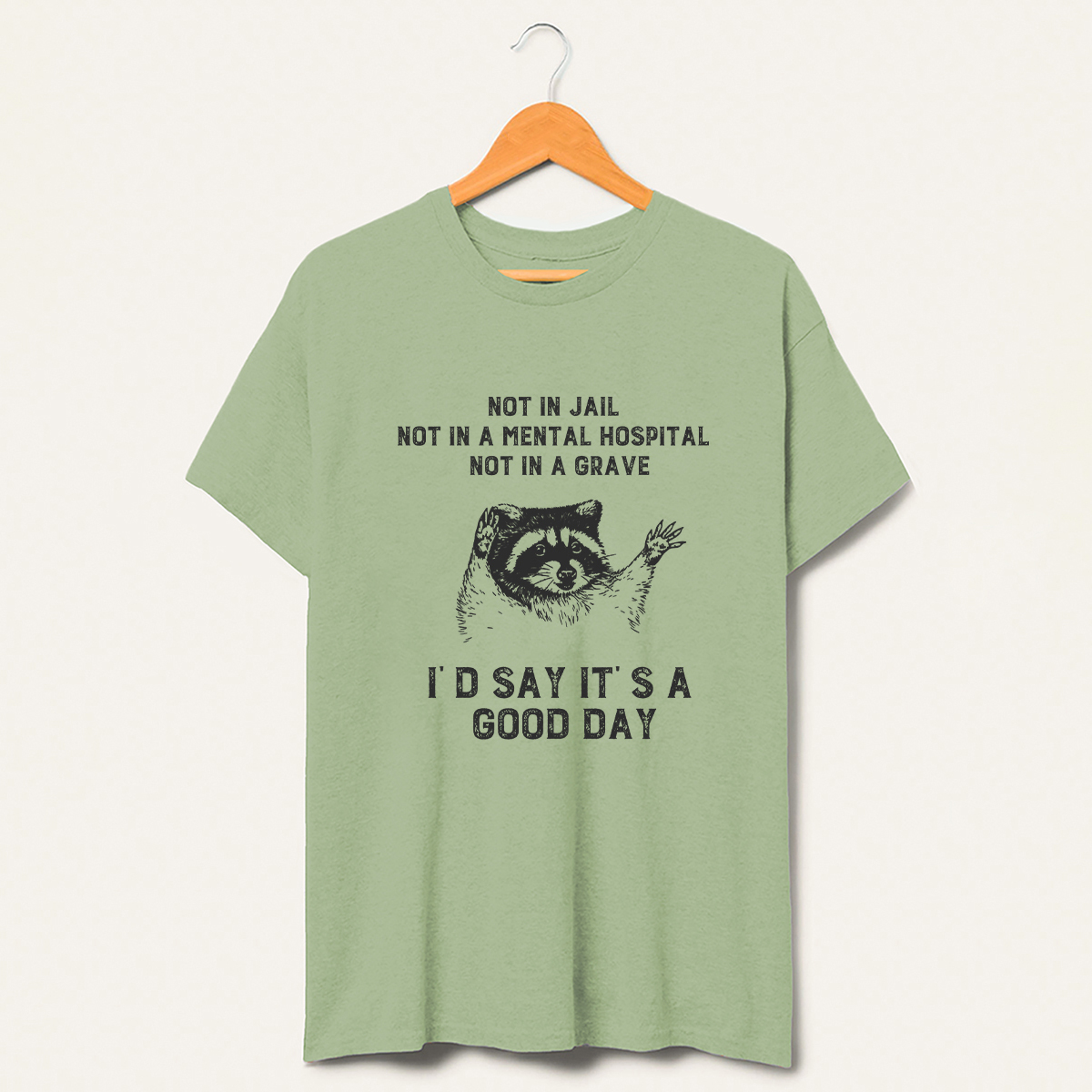 Not In Jail Id Say Its A Good Day Trash T-Shirt-lovefitte