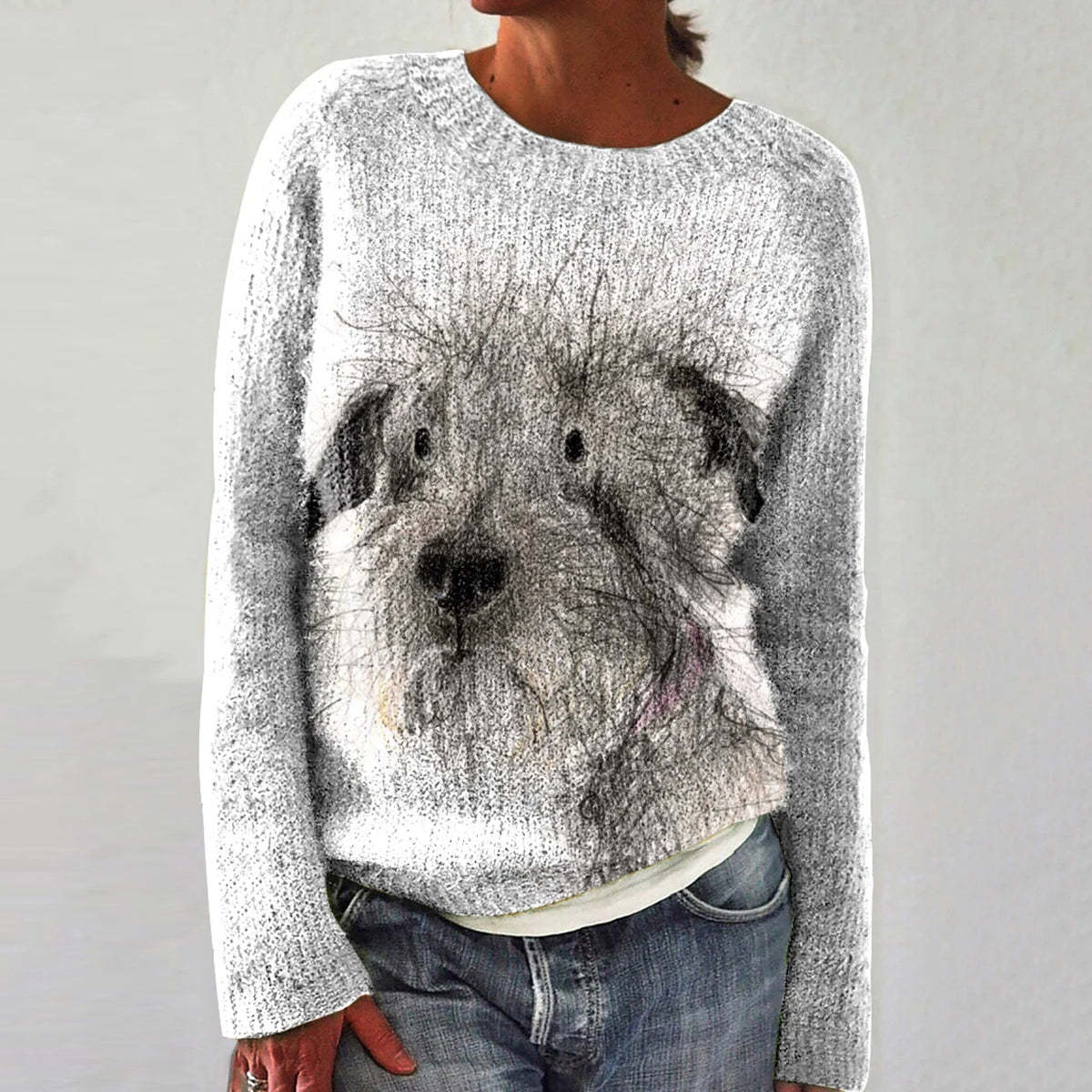 Funny Dog Print Casual Knit Pullover Sweater-carlalin