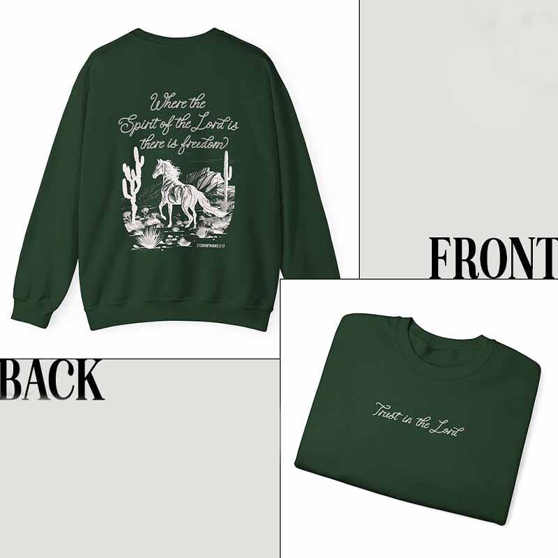 Western Horse Cowboy Sweatshirt-carlalin