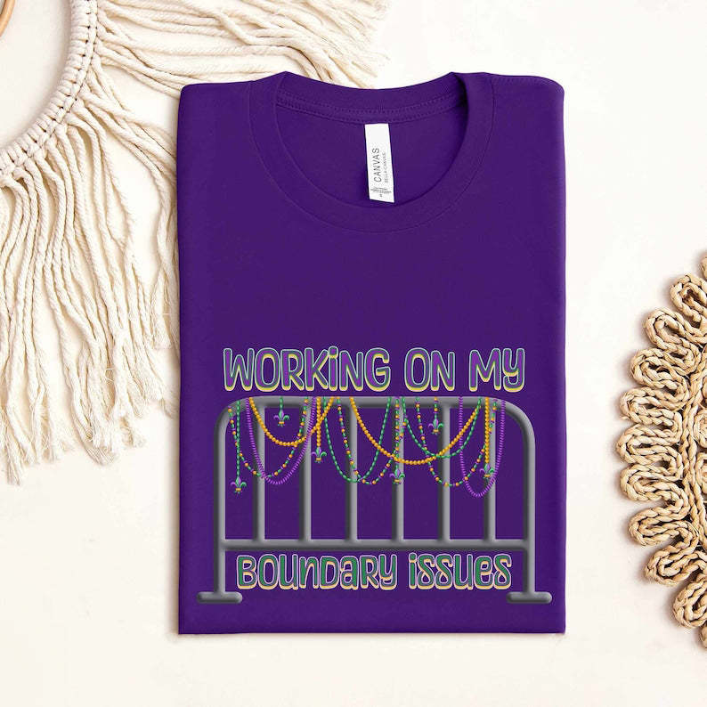 Barricade Boundary Issues T-shirt-carlalin