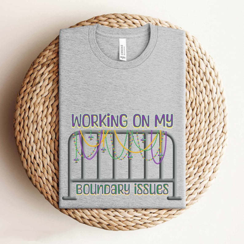 Barricade Boundary Issues T-shirt-carlalin