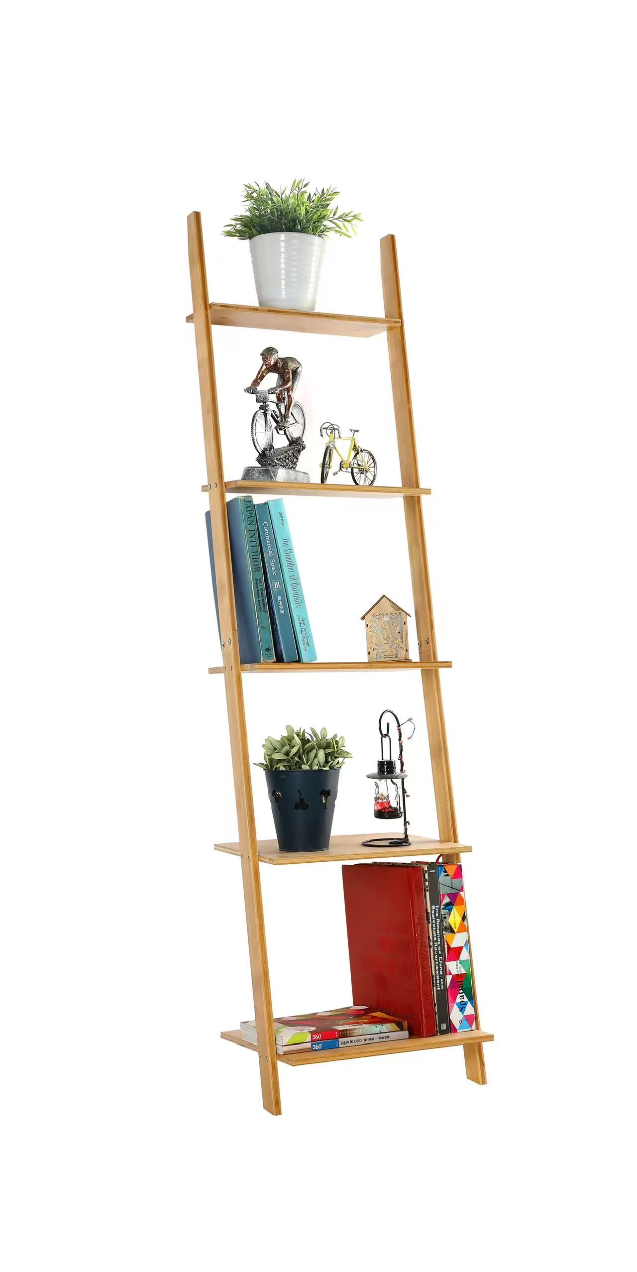 Ladder Shelf