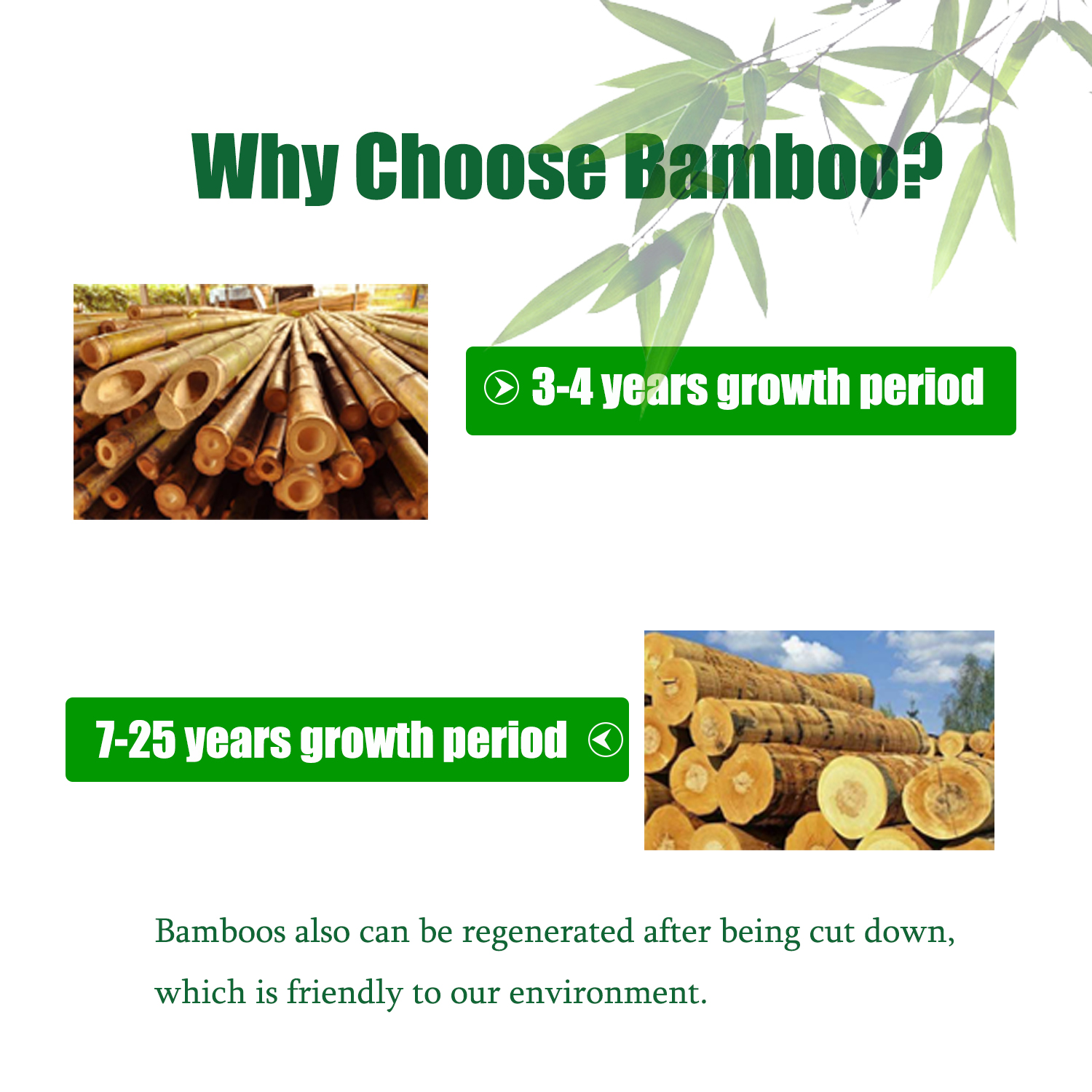 HYNAWIN Bamboo 2 Tier Bathroom Wall Cabinet with Adjustable Shelf, Double Door Cabinet for Bathroom, Living Room (20.28'' Height)