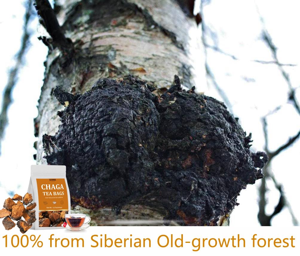 Premium 60 Chaga Tea Bags,100% Pure Siberian Wild Harvest Chaga Mushroom,No Additives,Caffeine Free.-Ultra Herb Tea