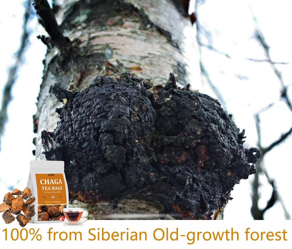 Premium 60 Chaga Tea Bags,100% Pure Siberian Wild Harvest Chaga Mushroom,No Additives,Caffeine Free.-Ultra Herb Tea