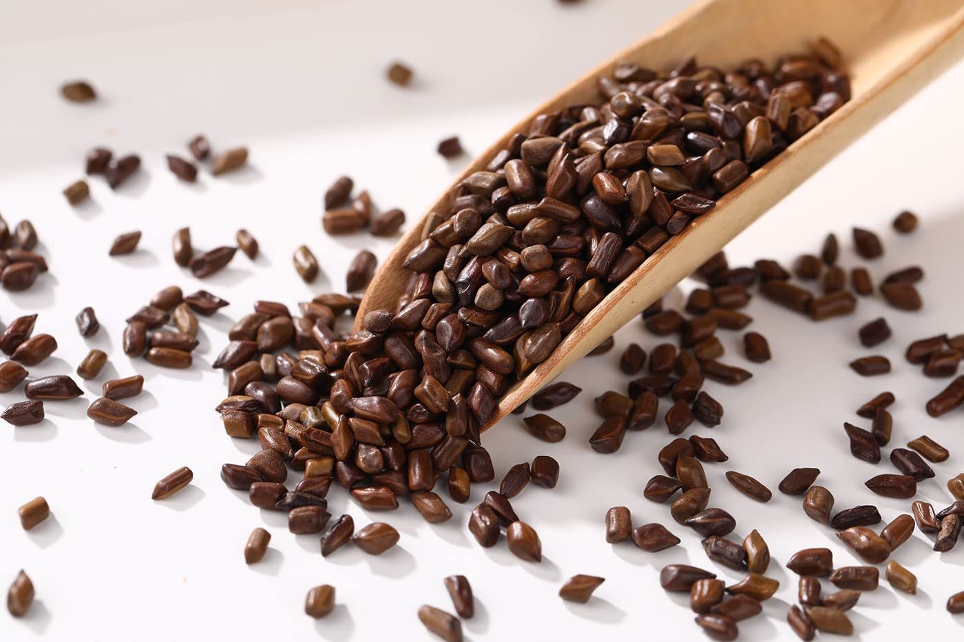 Top Grade Natural Cassia Seed Tea,Jar 20 Oz/ 568g .Chinese Herbal Tea/Jue Ming Zi ,Cooked Cassia Seeds,No Additives,Sugar Free.-Ultra Herb Tea