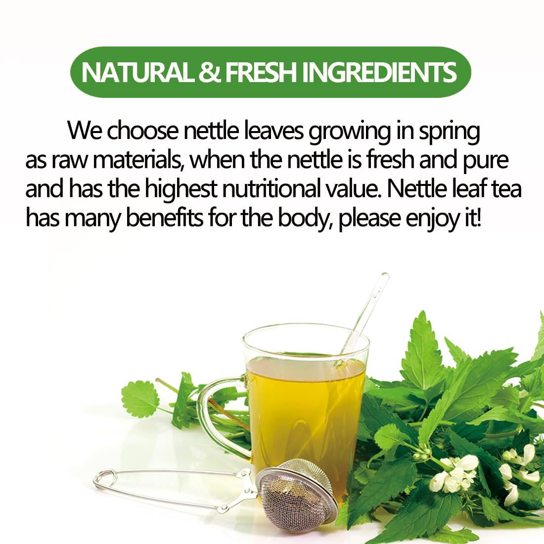 Premium 100 Stinging Nettle Leaf Tea Bags, Made with 100% Wild Nettle Leaves，No Additive & Caffeine Free.-Ultra Herb Tea