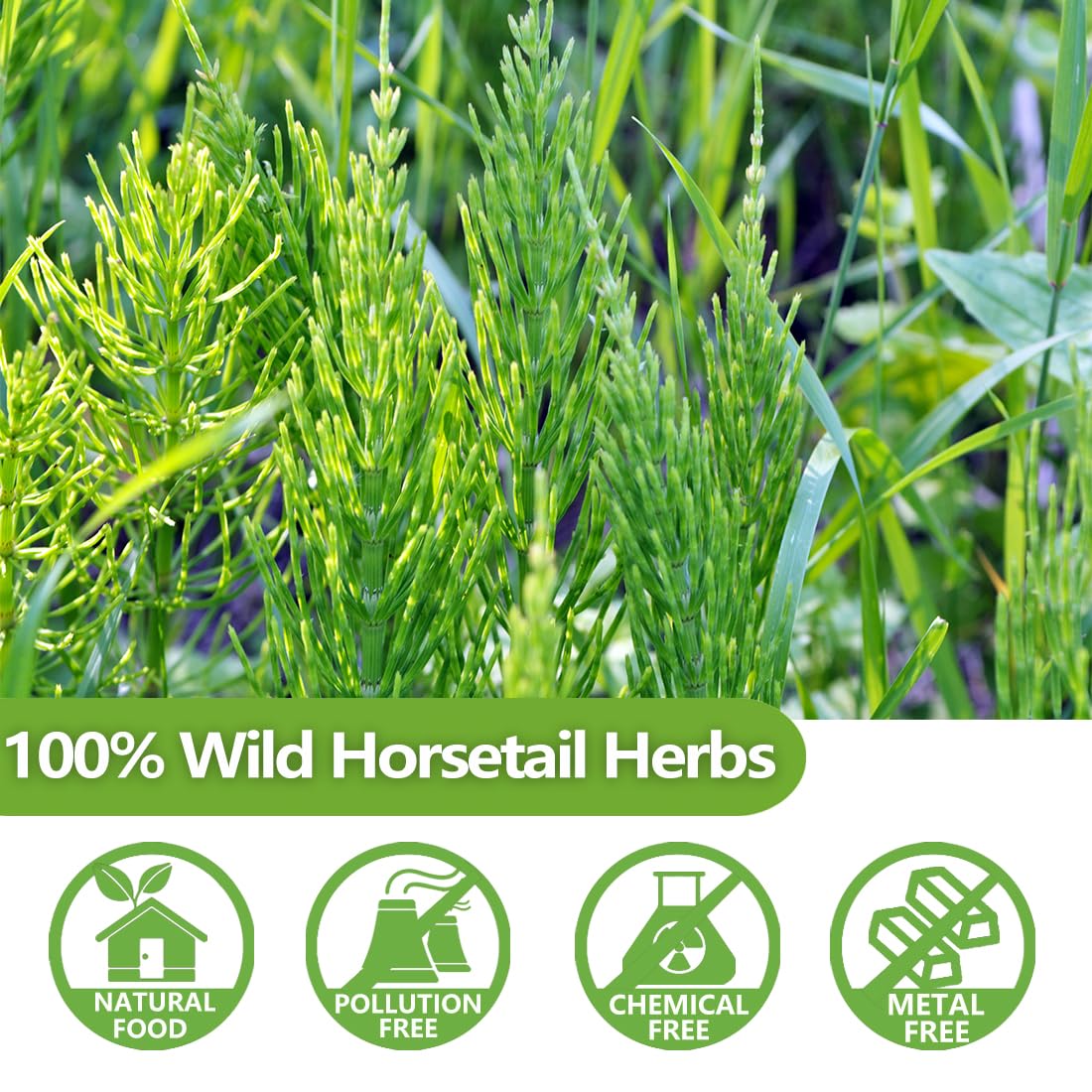 Premium 100 Horsetail Tea Bags, Made with 100% Wild Natural Horse Tail Herb, For Hair & Nail, No Additives & Caffeine Free-Cola De Caballo Hierba. -Ultra Herb Tea
