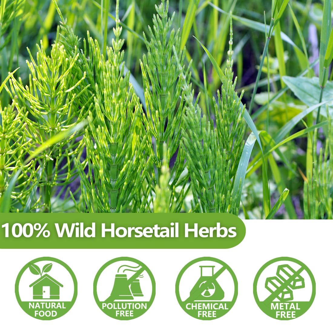 Premium 100 Horsetail Tea Bags, Made with 100% Wild Natural Horse Tail Herb, For Hair & Nail, No Additives & Caffeine Free-Cola De Caballo Hierba. -Ultra Herb Tea