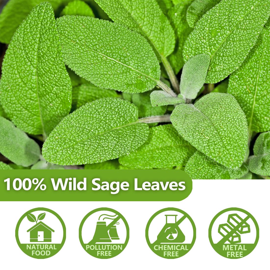 Premium 50 Sage Tea Bags, Made with 100% Natural Sage Leaves, No Additives & Caffeine Free.-Ultra Herb Tea