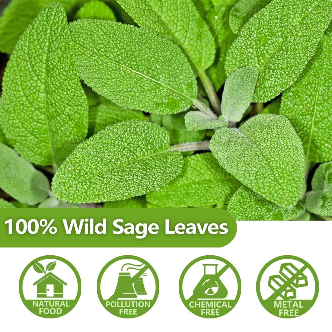 Premium 50 Sage Tea Bags, Made with 100% Natural Sage Leaves, No Additives & Caffeine Free.-Ultra Herb Tea