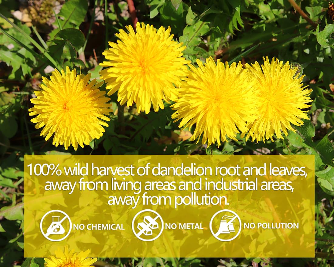 Premium Dandelion Leaf & Root Tea,100 Tea Bags/7.06Oz,for Liver Detox,100% Natural & No Additives.-Ultra Herb Tea