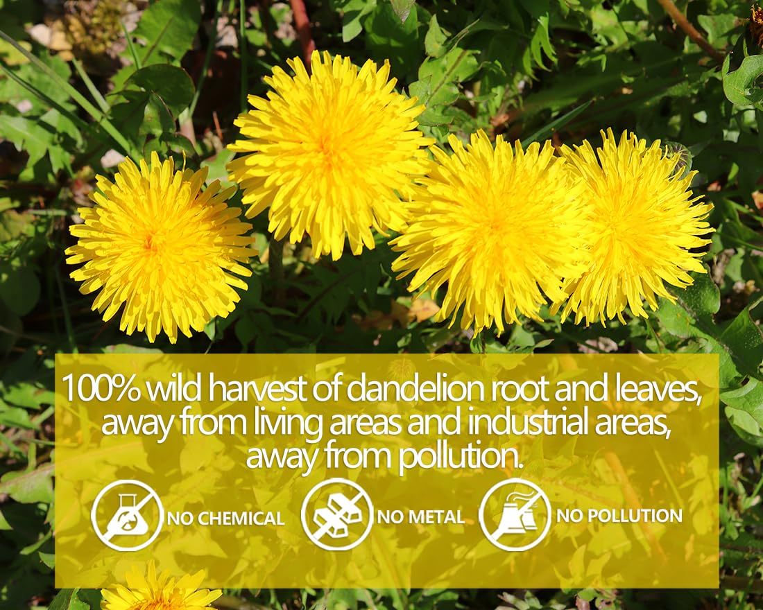 Premium Dandelion Leaf & Root Tea,100 Tea Bags/7.06Oz,for Liver Detox,100% Natural & No Additives.-Ultra Herb Tea