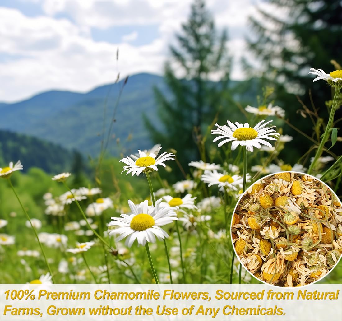 135 Premium Chamomile Tea Bags, Made with 100% Pure Natural Chamomile Flower, Caffeine Free & Non-GMO.-Ultra Herb Tea