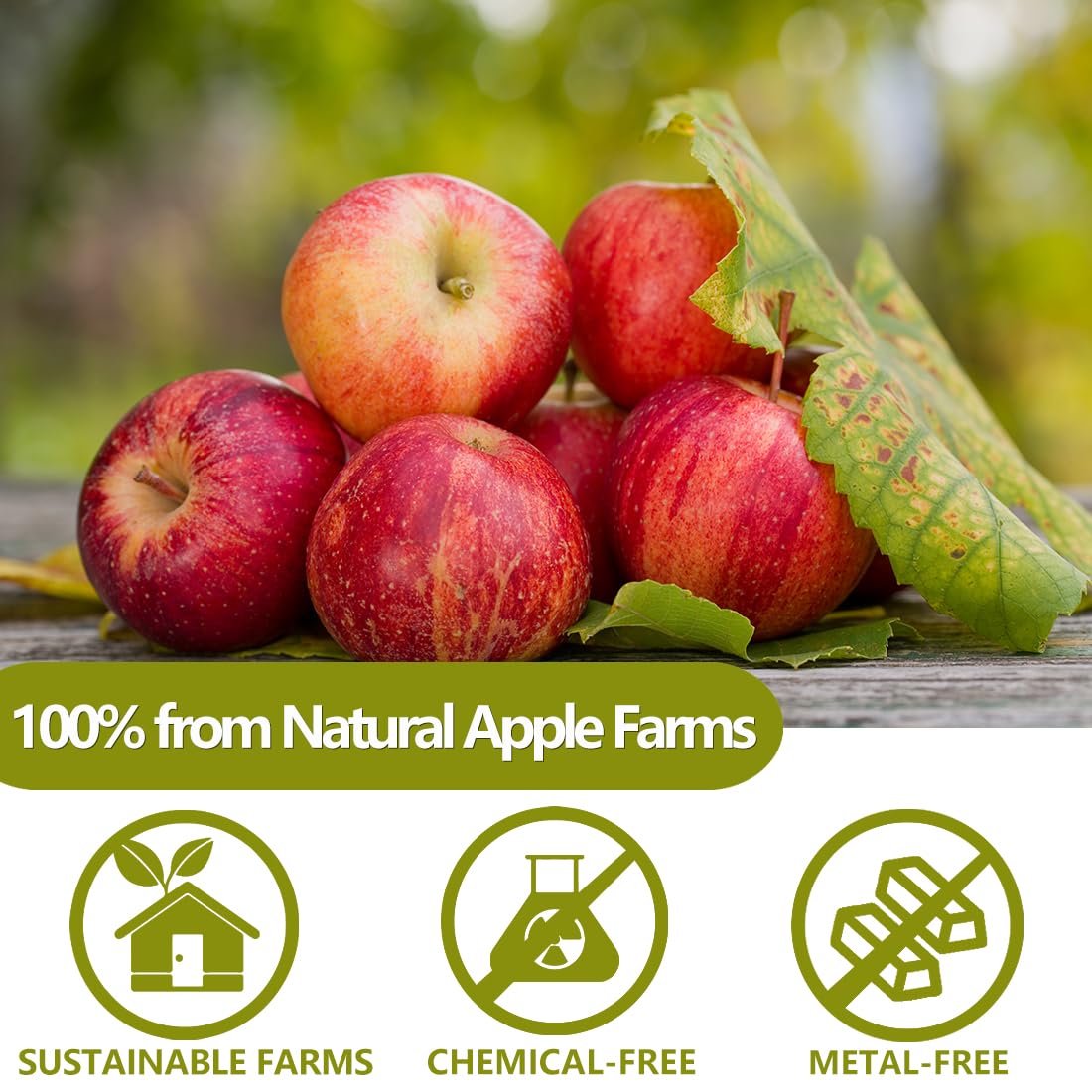 Premium Dried Diced Apples,10 Oz /283g,1 Ingredient Made with 100% Natural Apple, No Sugar Added Dehydrated Apple, No Additives & No Flavoring.-Ultra Herb Tea