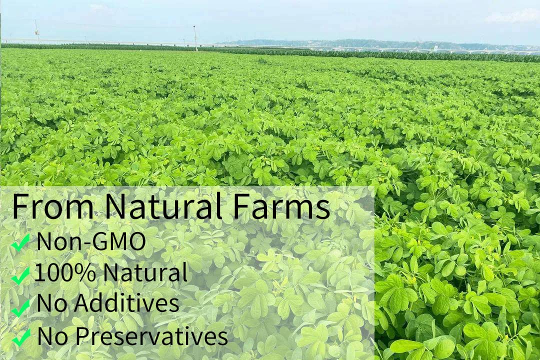 Top Grade Natural Cassia Seed Tea,Jar 20 Oz/ 568g .Chinese Herbal Tea/Jue Ming Zi ,Cooked Cassia Seeds,No Additives,Sugar Free.-Ultra Herb Tea