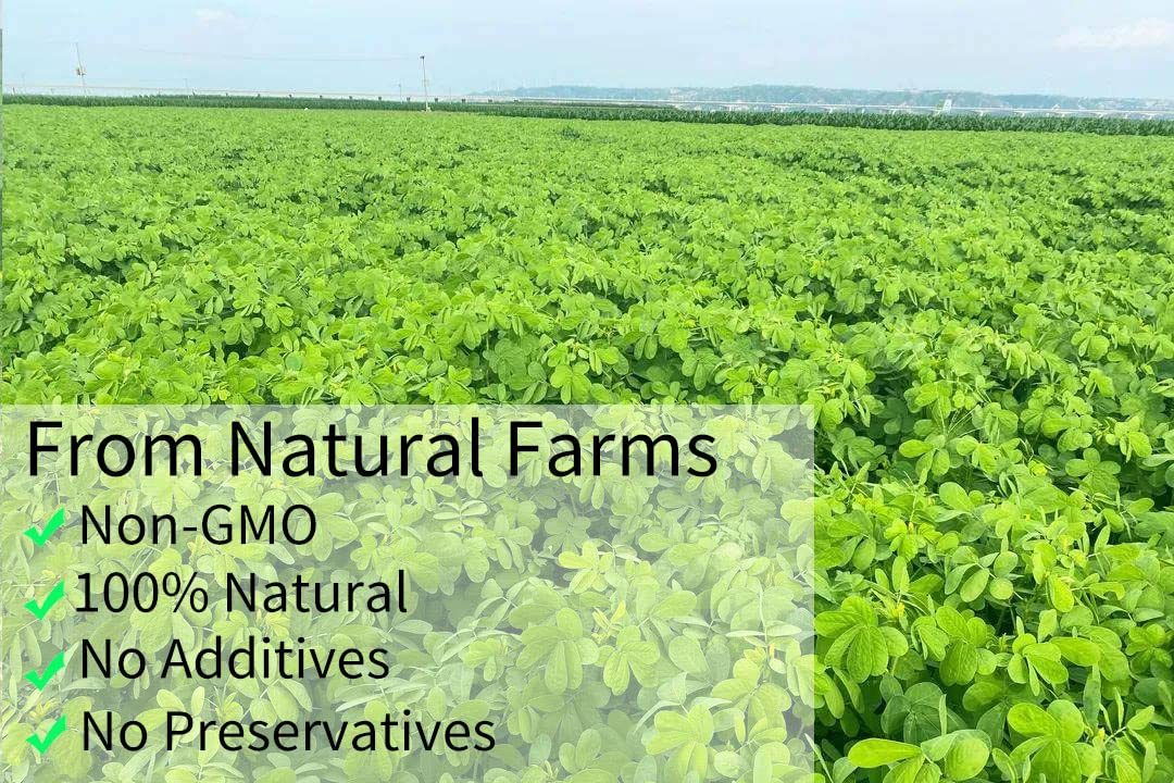 Top Grade Natural Cassia Seed Tea,Jar 20 Oz/ 568g .Chinese Herbal Tea/Jue Ming Zi ,Cooked Cassia Seeds,No Additives,Sugar Free.-Ultra Herb Tea