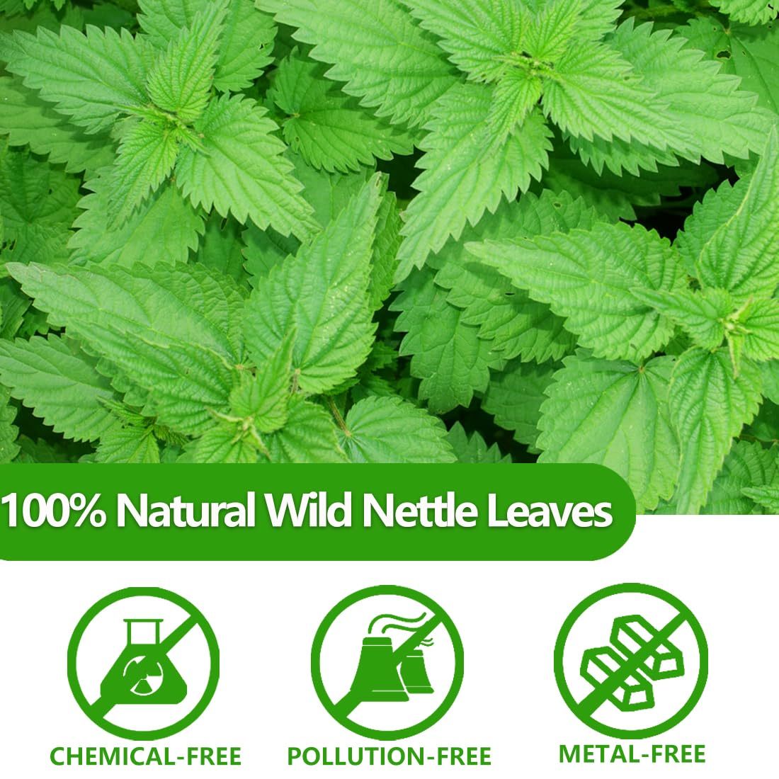 Premium 100 Stinging Nettle Leaf Tea Bags, Made with 100% Wild Nettle Leaves，No Additive & Caffeine Free.-Ultra Herb Tea