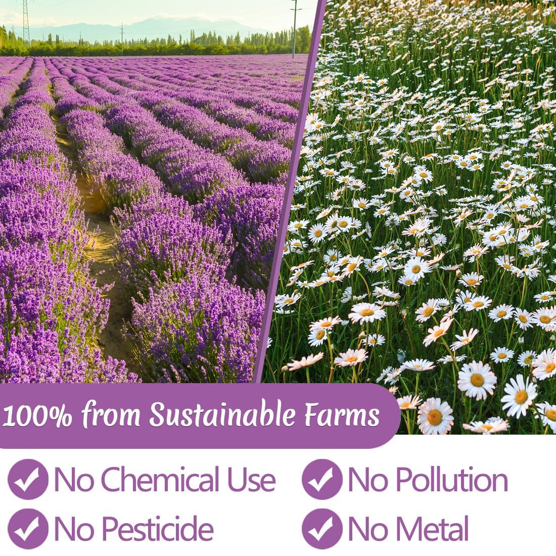 135 Premium Chamomile & Lavender Tea Bags,Relief & Caffeine Free & 100% Natural.-Ultra Herb Tea