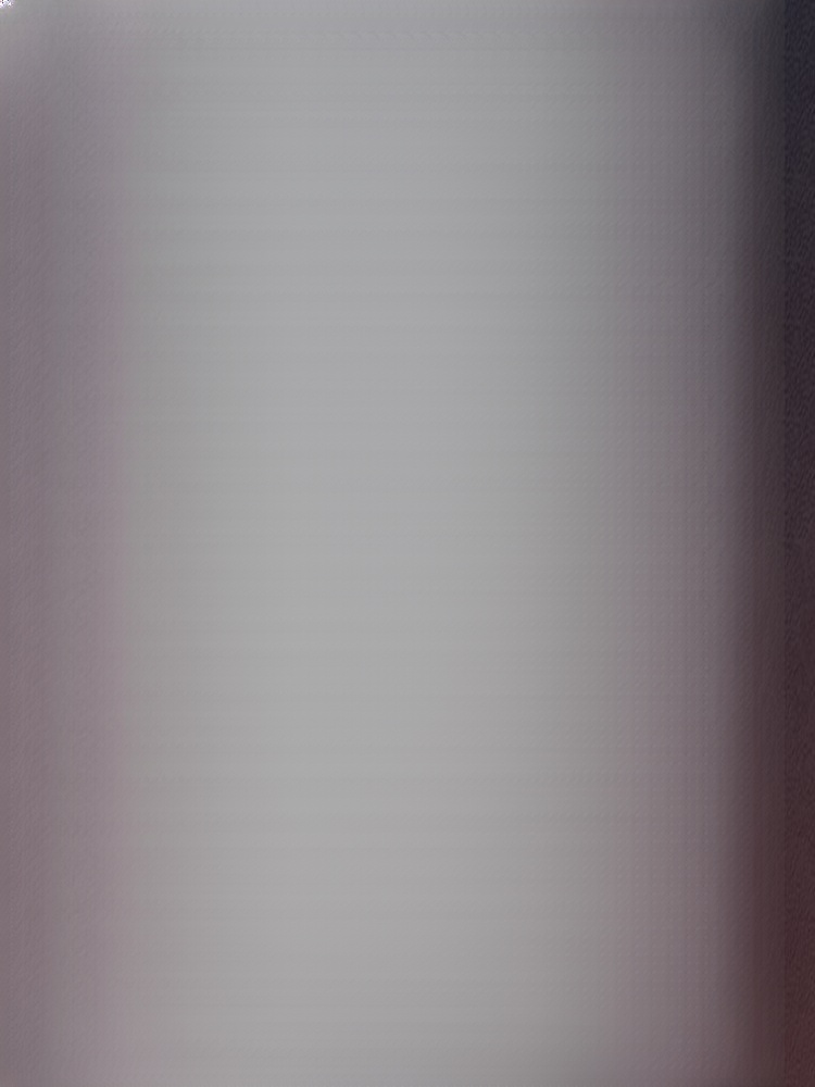 Close Combat Weapon: Telescopic Dog-Beating Staff / Trekking Pole