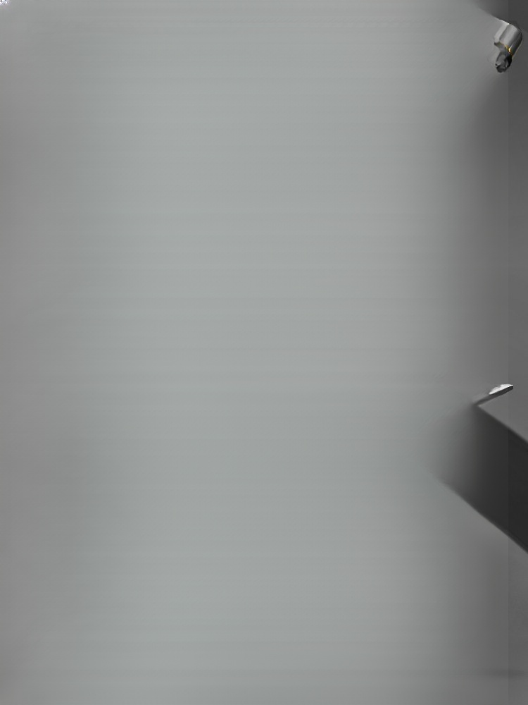 Close Combat Weapon: Telescopic Dog-Beating Staff / Trekking Pole