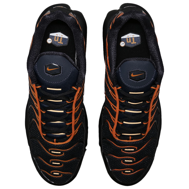 Nitthhke Air Max Plus TN  Dark Obsidian