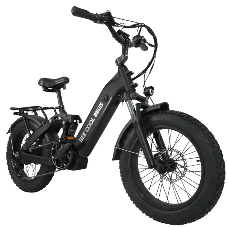 Bicicleta el��ctrica de suspensi��n completa de largo alcance     Ranger, 750W eBike de monta?a, alcance de 80MI, bater��a de 48V 20Ah, neum��tico de 20x4 de goma gruesa, carga   de 400LBS, velocidad   de 20MPH, 7 velocidades de Bikes detalles 1